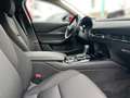Mazda CX-30 Selection 2.0l Mild-Hybrid 2WD Kırmızı - thumbnail 14