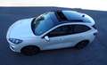 Ford Kuga Plug-In Hybrid ST-Line X, 1. Hand Blanc - thumbnail 1