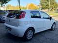 Fiat Punto Punto 1.3 MJT II S&S 95 CV 5 porte Street Weiß - thumbnail 5