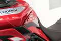 Triumph Tiger 900 900 GT Abs Blanc - thumbnail 10