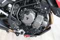 Triumph Tiger 900 900 GT Abs Blanc - thumbnail 19