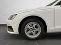 Audi A4 35 TDI 120(163) kW(PS) S tronic Weiß - thumbnail 8