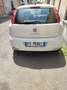Fiat Punto 5p 1.4 easypower Street Gpl E6 - thumbnail 2
