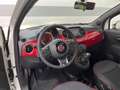 Fiat 500 RED PANORAMA TEMPOMAT KLIMAAUTOMATIK 1.0 Mild H... Wit - thumbnail 7