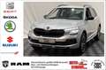 Skoda Kamiq Selection / DSG / Kamera / 17 Zoll Silber - thumbnail 1