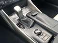 Lexus IS 300 300h 223pk First Edition | Eerste eigenaar, Leer, Grijs - thumbnail 33