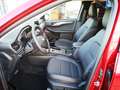 Ford Kuga 2,0 EcoBlue Hybrid Titanium X Aut. LAGERABVERKAUF Rot - thumbnail 10