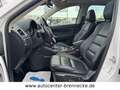 Mazda CX-5 Nakama Intense AWD*LED*Kamera*Schiebedach* Weiß - thumbnail 13