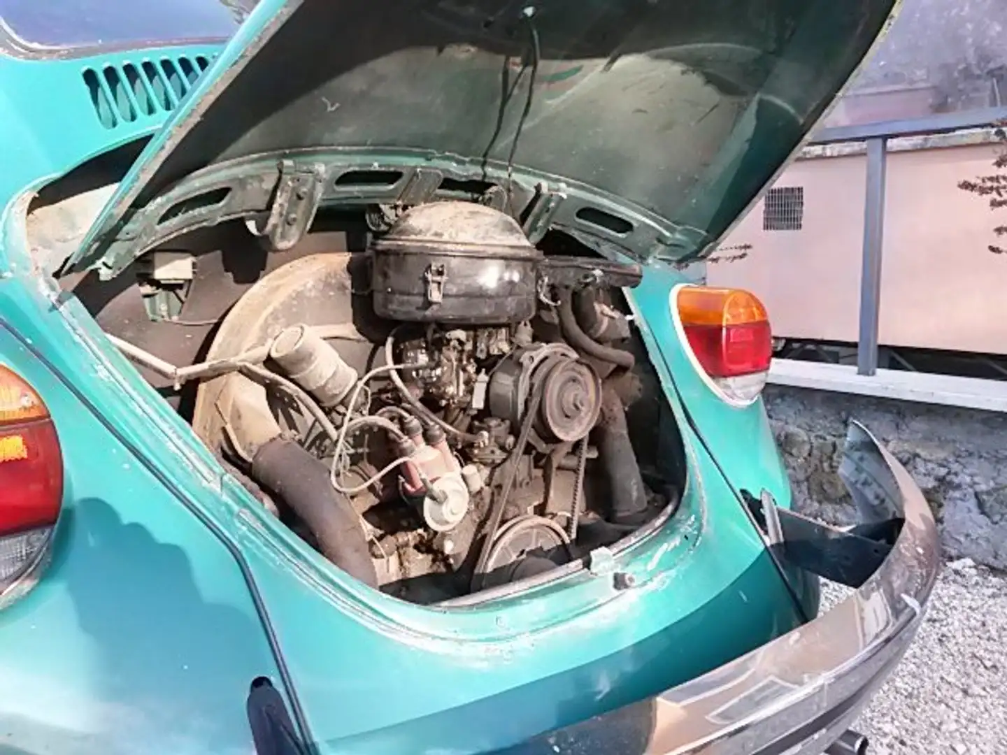 Volkswagen Maggiolone Verde - 2