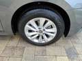 Skoda Octavia Selektion DSG/AHK/LED/Sitzheiz/Garantie bis 5/2030 Grau - thumbnail 12