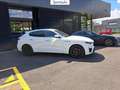 Maserati Levante 3.0 v6 gransport 250cv auto Bianco - thumbnail 4