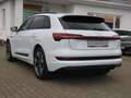 Audi e-tron 50 2x S line ACC AHK BLACK 20Z KAMERA Weiß - thumbnail 10