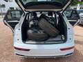 Audi SQ5 3.0 TDI quattro VOLL - S Line Euro6 Blanc - thumbnail 9