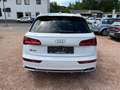 Audi SQ5 3.0 TDI quattro VOLL - S Line Euro6 Blanc - thumbnail 8