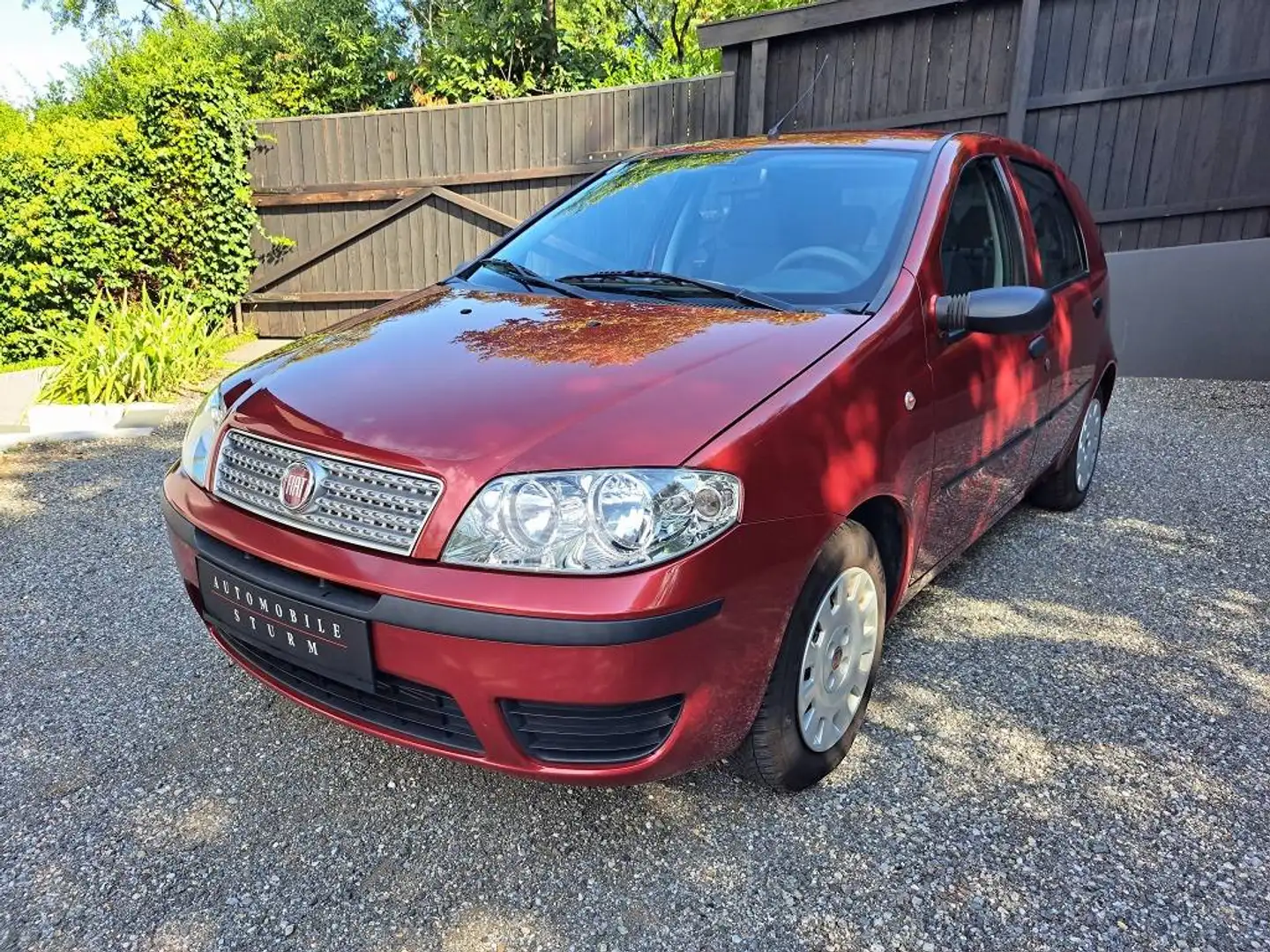 Fiat Punto | NUR 43.700 KM| SERVICE NEU | PICKERL NEU | Rot - 1
