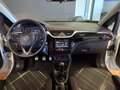 Opel Corsa Corsa 5p 1.3 cdti Innovation (cosmo) 75cv my16 Bianco - thumbnail 13