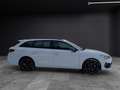 CUPRA Leon ST TSI DSG LED AHK Navi Climatronic ACC RFK SH LM Weiß - thumbnail 6