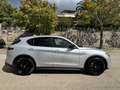 Alfa Romeo Stelvio 2.2 Turbodiesel 190cv AT8 RWD Executive..Navi..!! Grigio - thumbnail 14