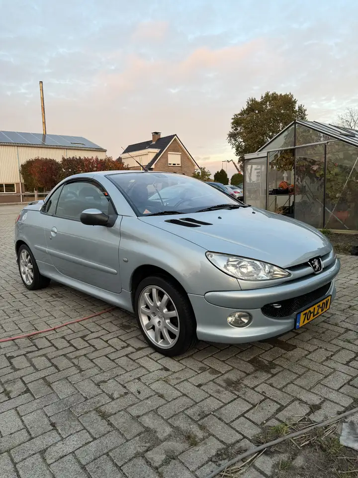 Peugeot 206