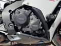 Honda CBR 1000 1000RR Fireblade ABS AKRAPOVIC Weiß - thumbnail 13