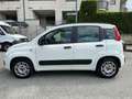 Fiat Panda 1.2 Lounge Wit - thumbnail 8