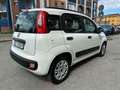 Fiat Panda 1.2 Lounge Wit - thumbnail 6