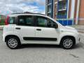 Fiat Panda 1.2 Lounge Wit - thumbnail 4