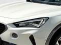 CUPRA Formentor 1.5 TSI 110 KW  Clima PDC PLA FullLink Bianco - thumbnail 7