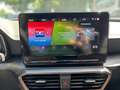 CUPRA Formentor 1.5 TSI 110 KW  Clima PDC PLA FullLink Bianco - thumbnail 14