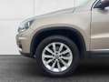 Volkswagen Tiguan 2,0 TDI 4Motion Track&Style  TOP Zustand!!! Beige - thumbnail 9