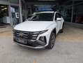 Hyundai TUCSON Tucson NX4 Jubile 1,6 T-GDi HEV 2WD AT t6hj1 Weiß - thumbnail 1
