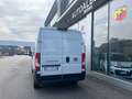 Fiat DUCATO 35 Q.LI 2.2 MJT 140 CV PM TA KM OO Weiß - thumbnail 4