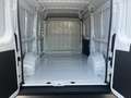 Fiat DUCATO 35 Q.LI 2.2 MJT 140 CV PM TA KM OO Weiß - thumbnail 7