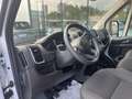Fiat DUCATO 35 Q.LI 2.2 MJT 140 CV PM TA KM OO Weiß - thumbnail 9