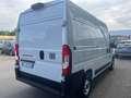 Fiat DUCATO 35 Q.LI 2.2 MJT 140 CV PM TA KM OO Weiß - thumbnail 5