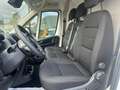 Fiat DUCATO 35 Q.LI 2.2 MJT 140 CV PM TA KM OO Weiß - thumbnail 10