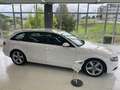 Audi A4 Avant 2.7TDI DPF Bianco - thumbnail 3