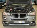 BMW X3 xDriv20d/NaviProf/Panorama/LederSportStz/xLine Grau - thumbnail 30