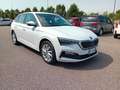 Skoda Scala 1.6 tdi Style 115cv dsg Bianco - thumbnail 5