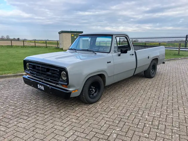 Dodge D100