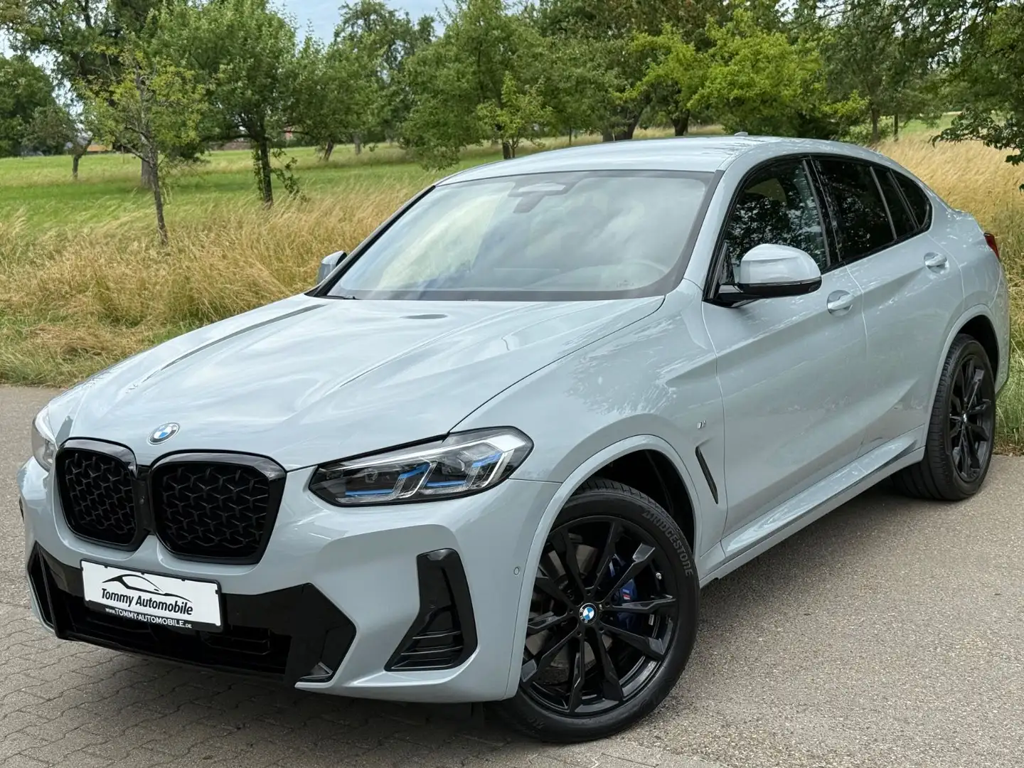 BMW X4 xDrive 30 d M Sport Laser HeadUp Standhzg AHK Gris - 1