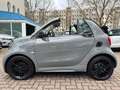 smart forTwo fortwo Cabrio*BRABUS FINEST EDITION 1*JBL*KAM* Grau - thumbnail 2