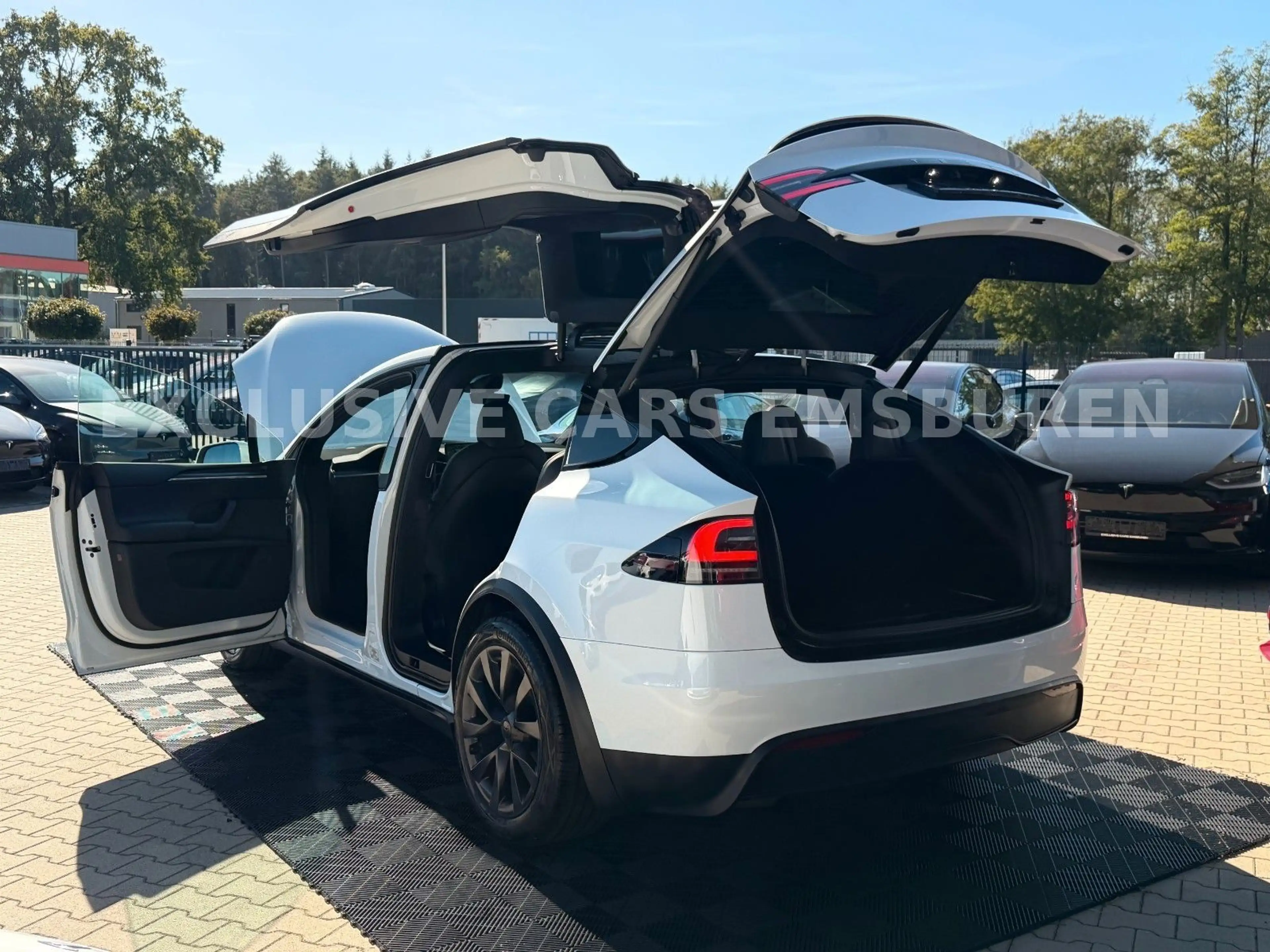 Tesla Model X MODEL X PALLADIUM | FULL SELF DRIVE | HW4 — photo 12