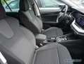 Skoda Octavia Combi 2.0 TDI Selection RüKa SmartLink Gris - thumbnail 4