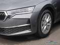 Skoda Octavia Combi 2.0 TDI Selection RüKa SmartLink Gris - thumbnail 11