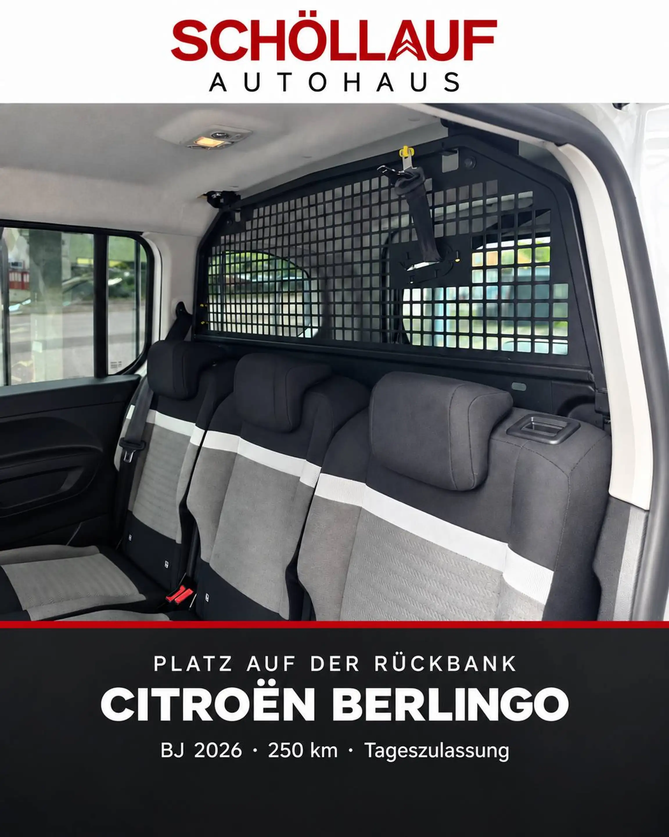 Citroen Berlingo VAN Plus M BHDI130 EAT8 — photo 9