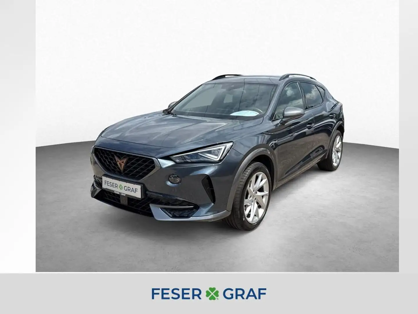CUPRA Formentor 2.0 TSI DSG 4DRIVE AHK DCC MATRIX KAMERA NAVI BEAT Grau - 1