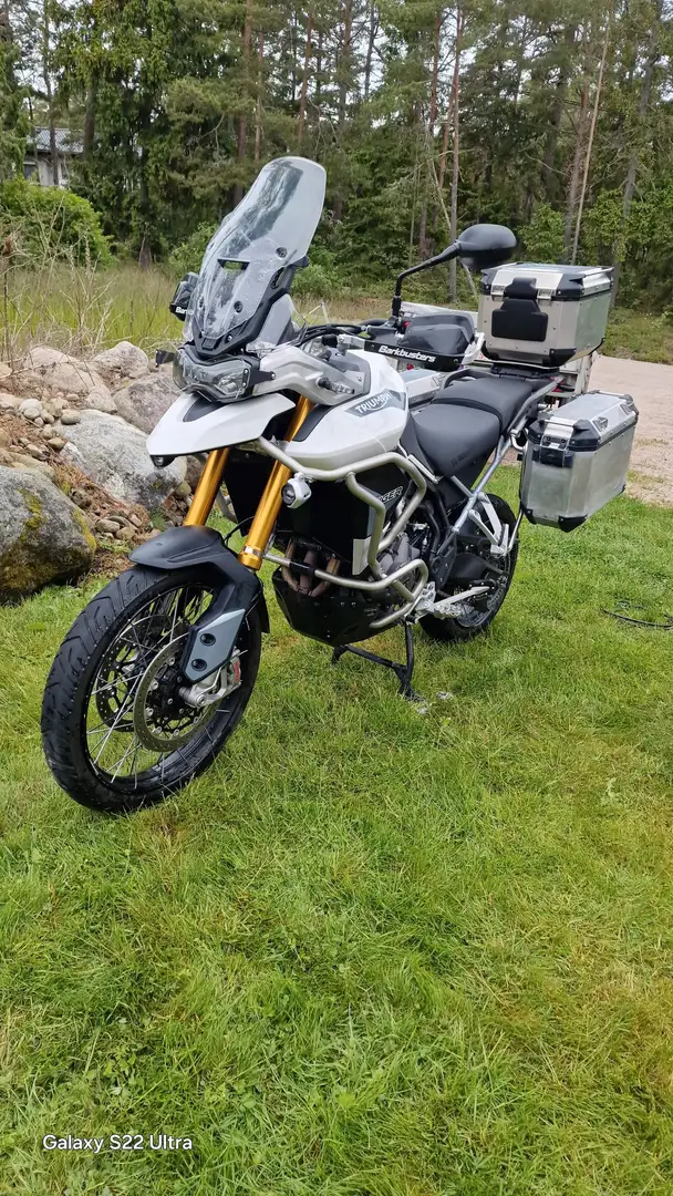 Triumph Tiger 900 Rally PRO Blanco - 1