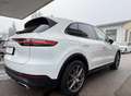 Porsche Cayenne III E-Hybrid PHEV 17,9 kWh Aut. Weiß - thumbnail 2