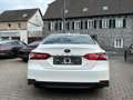 Toyota Camry Hybrid Business Edition*KAMERA*LED*LEDER* Weiß - thumbnail 7